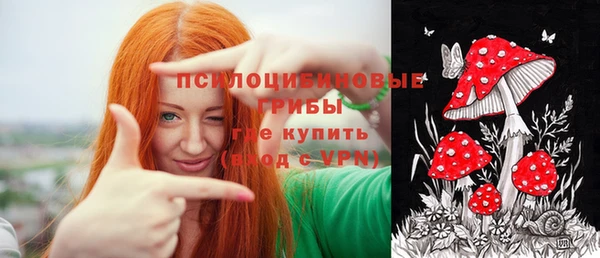 a pvp Белоозёрский
