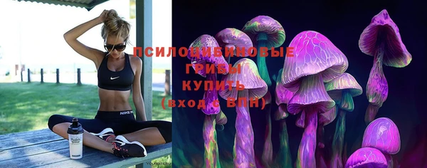 a pvp Белоозёрский