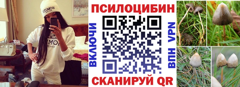 Галлюциногенные грибы Magic Shrooms  Курчатов 